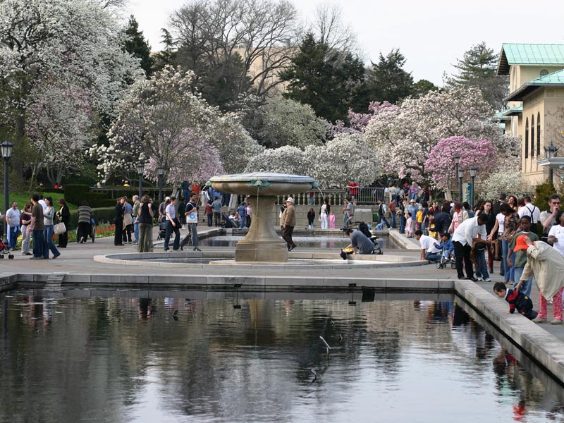 Brooklyn Botanic Garden