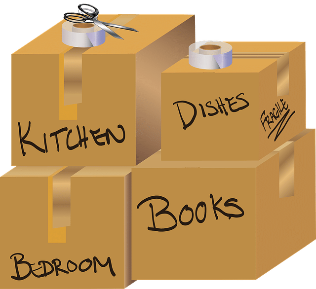 Packing Tips for Your Next Move